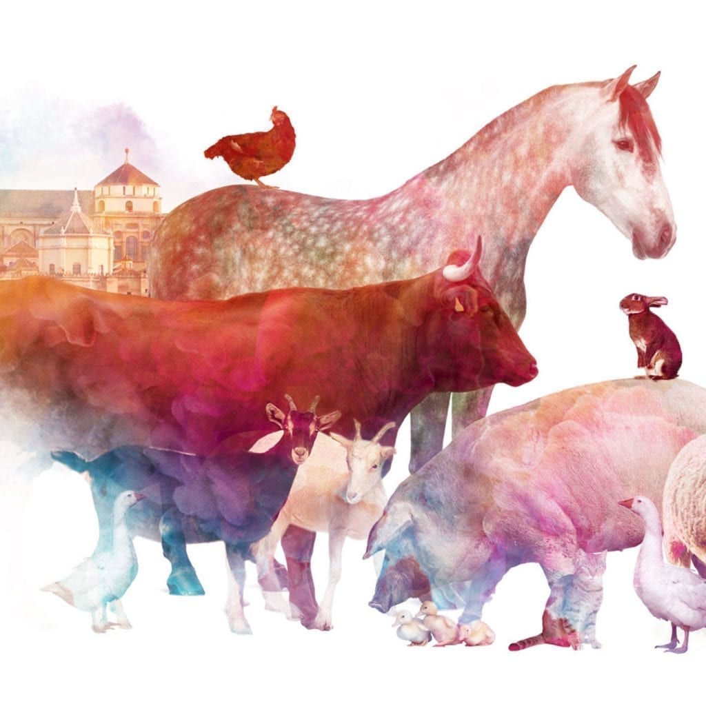 II CONGRESO NACIONAL DE SANIDAD ANIMAL 2018